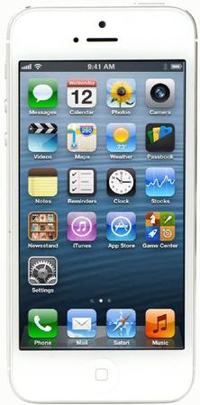 Смартфон Apple iPhone 5 64Gb White & Silver - Протвино