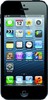 Apple iPhone 5 16GB - Протвино