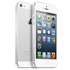 Apple iPhone 5 64Gb white - Протвино